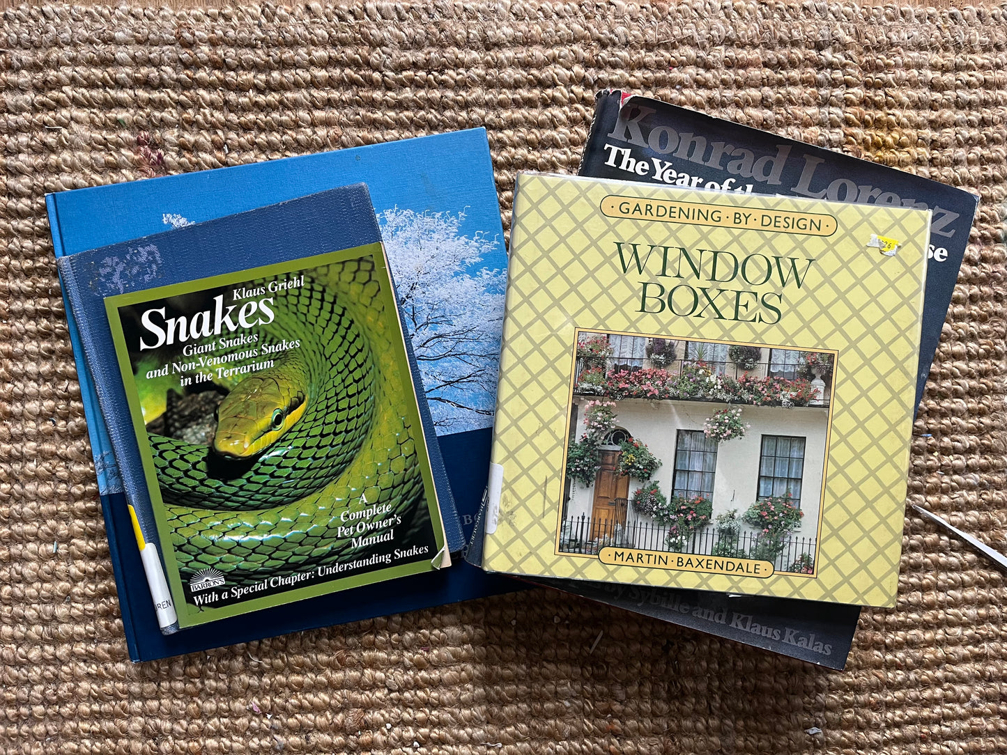 Collage Club with Studio Arby